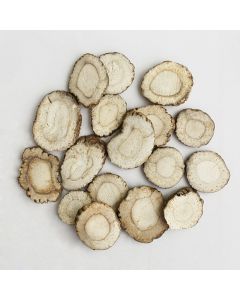 BAI ZHI - Dahurian Angelica Root - Radix Angelicae Dahuricae Herb