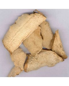 BI XIE - Hypoglauca Yam (Seven lobed Yam) - Rhizoma Dioscoreae Hypoglaucae Herb