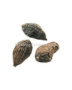 CAO GUO - Tsaoko - Fructus Tsaoko Herb