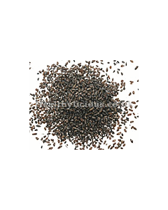 CHE QIAN ZI - Plaintain Seed - Psyllium - Semen Plantaginis Herb