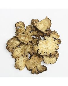 CHUAN XIONG - Sichuan Lovage Root - Rhizoma Chuanxiong Herb