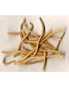 DENG XIN CAO - Rush Pith - Medulla Junci Herb