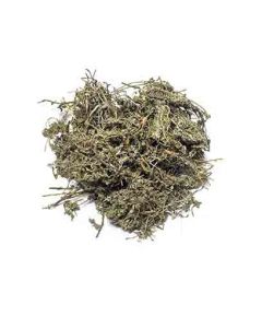 E BU SHI CAO - Centipeda Herb - Herba Centipedae Herb