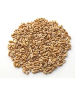 FU XIAO MAI - Shrivelled Wheat (Light Wheat) - Fructus Tritici Levis Herb