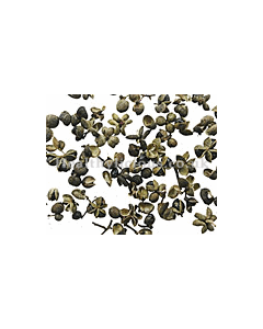 HUAI JIAO - Pagoda Tree Fruit - Fructus Sophorae Japonicae Herb