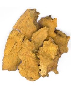 HU ZHANG - Giant Knotweed - Rhizoma Polygoni Cuspidati Herb