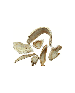 JIE GENG - Balloon-Flower Root (Platycodon Root) - Radix Platycodi Herb