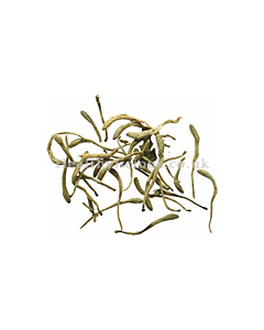 JIN YIN HUA - Honeysuckle Flower - Flos Lonicerae Herb