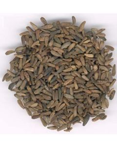 NIU BANG ZI  - Arctium Fruit - Fructus Arctii Herb
