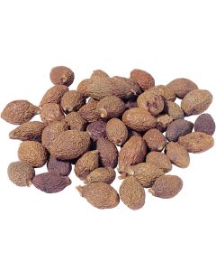 PANG DA HAI - Boat Sterculia Seed - Semen Sterculiae Lychnophorae Herb
