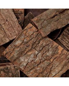 ROU GUI - Cinnamon Bark - Cortex Cinnamomi Herb