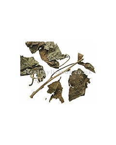 SANG YE - Mulberry Leaf  - Folium Mori Herb