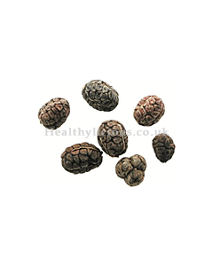 SHA REN - Grains Of Paradise - Fructus Amomi Herb
