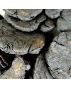 SHU DI HUANG - Prepared Rehmannia Root - Radix Rehmanniae Praeparata Herb