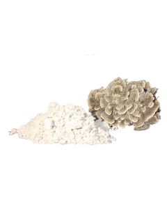 Turkey Tail Mushroom Pure Powder -Trametes versicolor - polysacc