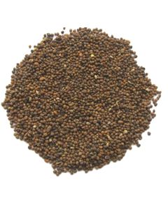 TU SI ZI - Dodder Seed - Semen Cuscutae Herb