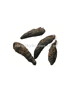 XIANG FU  - Cyperus Tuber  - Rhizoma Cyperi Herb