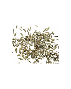 XIAO HUI XIANG - Fennel Seed - Fructus Foeniculi Herb