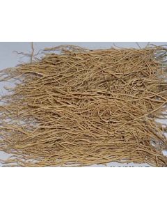 XU CHANG QING - Paniculate swallow wort root - Radix Cynanchi Paniculati Herb