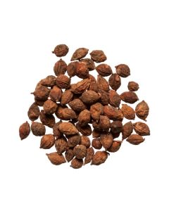 YI ZHI REN  - Black Cardmom Seed - Fructus Alphiniae Oxyphyllae Herb