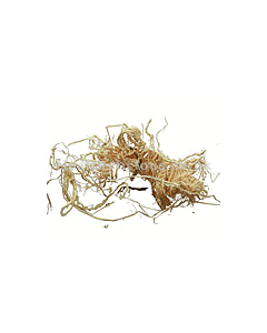 ZHU RU  - Bamboo Shavings  - Caulis Bambusae in Taeniam Herb