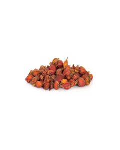 ZHI ZI  - Gardenia Fruit, (Capejasmine) - Fructus Gardeniae Herb